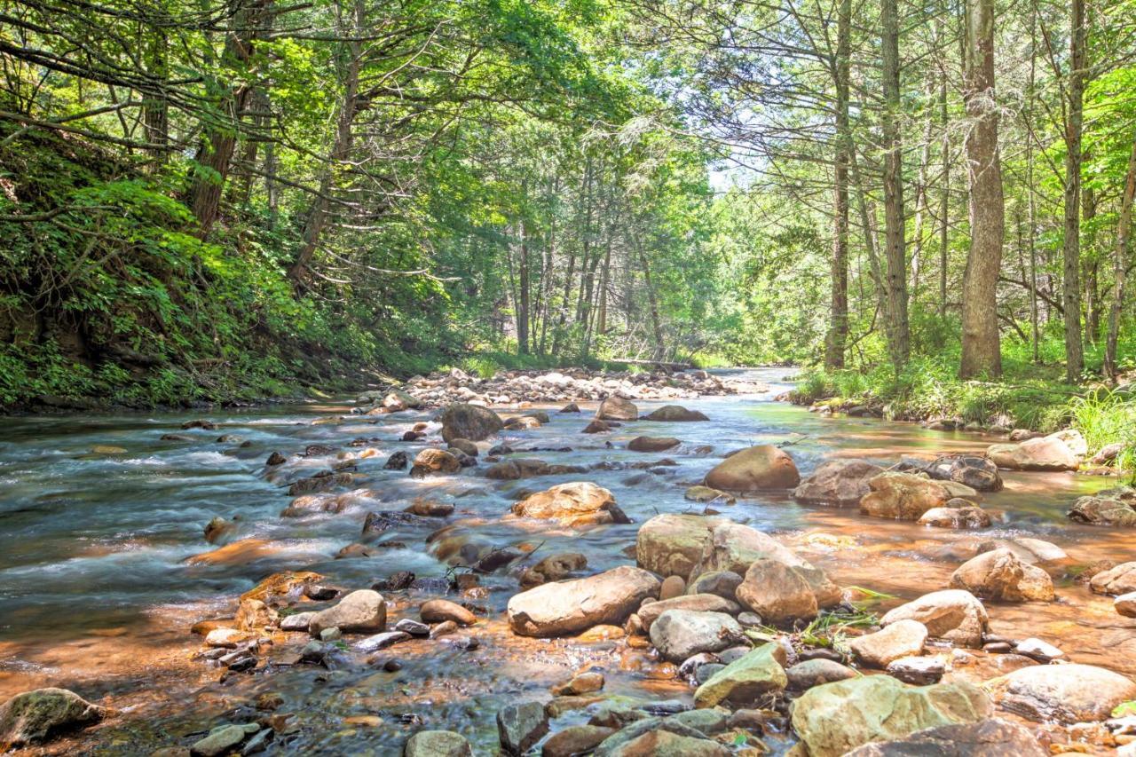 Clearwater Cabin On 10 Acres With Trout Stream! Monterey Dış mekan fotoğraf