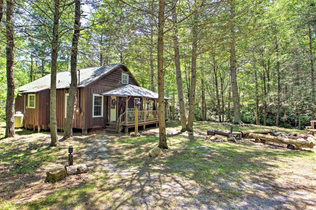 Clearwater Cabin On 10 Acres With Trout Stream! Monterey Dış mekan fotoğraf