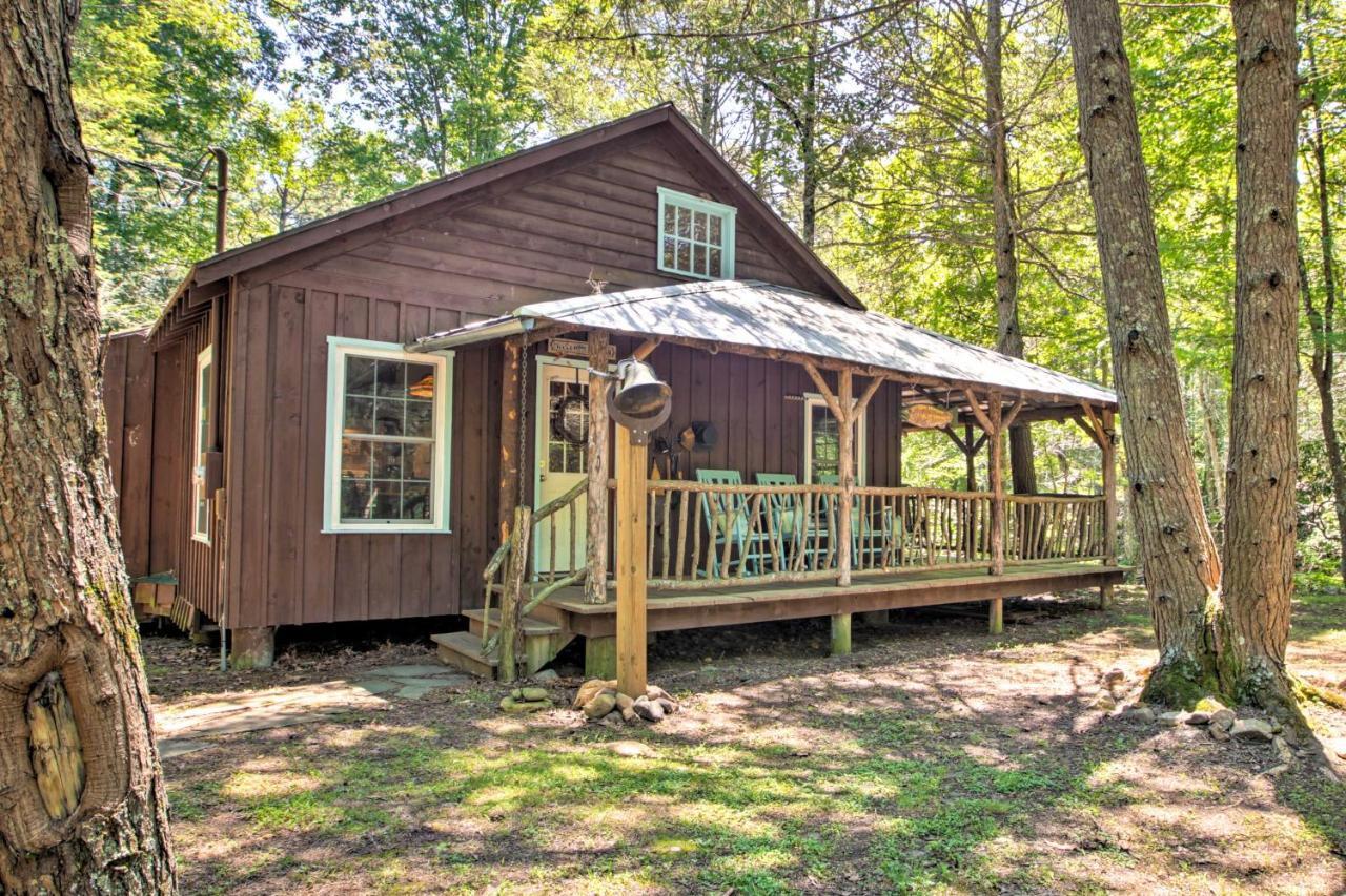 Clearwater Cabin On 10 Acres With Trout Stream! Monterey Dış mekan fotoğraf